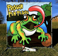 Froggy Fly Fling Frame Game